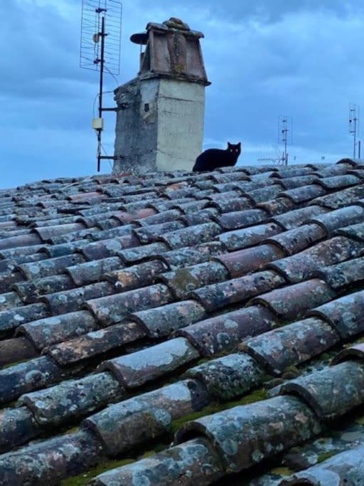 Appartamento Viola 27 Perugia Luaran gambar
